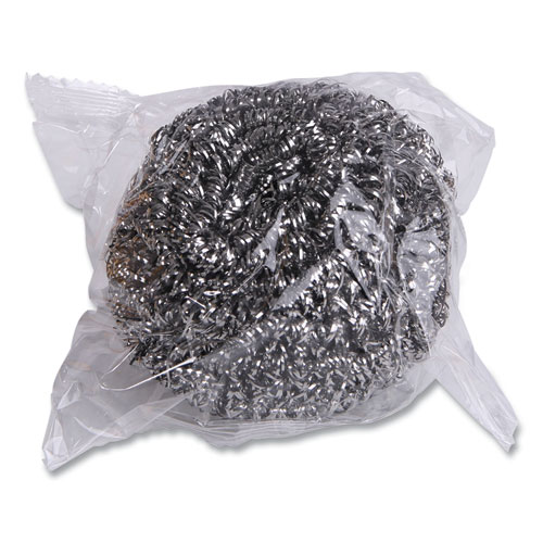 Stainless Steel Scrubbers 