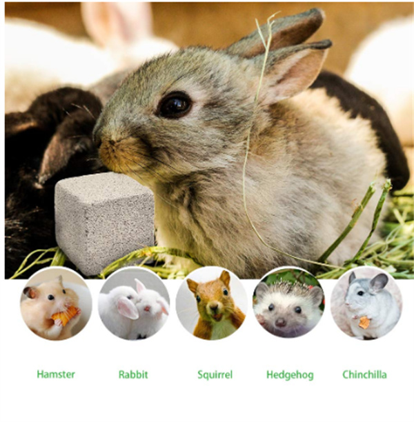 Billy Buckskin Chinchilla Chew Toys, Pumice Teeth Grinding Stone, Chinchilla Cage Accessories, Lava Blocks for Bunny, Rabbit, Hamster, Guinea Pigs