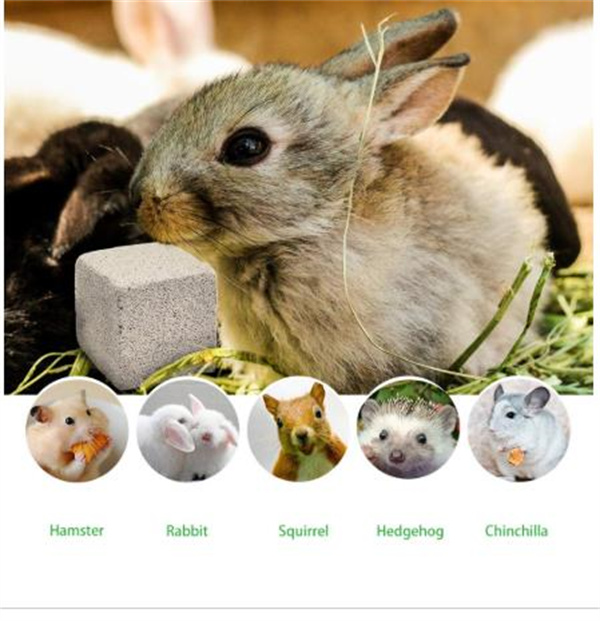 Billy Buckskin Chinchilla Chew Toys, Pumice Teeth Grinding Stone, Chinchilla Cage Accessories, Lava Blocks for Bunny, Rabbit, Hamster, Guinea Pigs