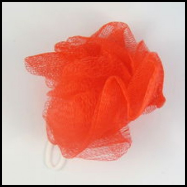 Mesh Bath Sponge